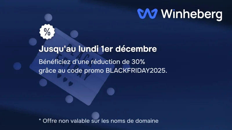 Code Promo Black Friday Winheberg : -30% sur tous nos Services