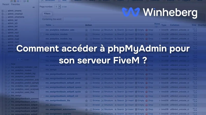 Comment accéder à phpMyAdmin pour son serveur FiveM ?