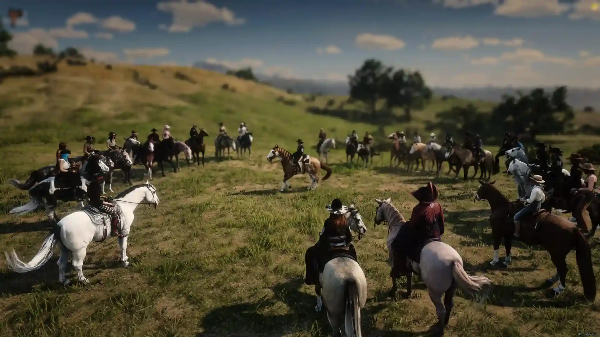 RedM, Roleplay et Multijoueur Far West